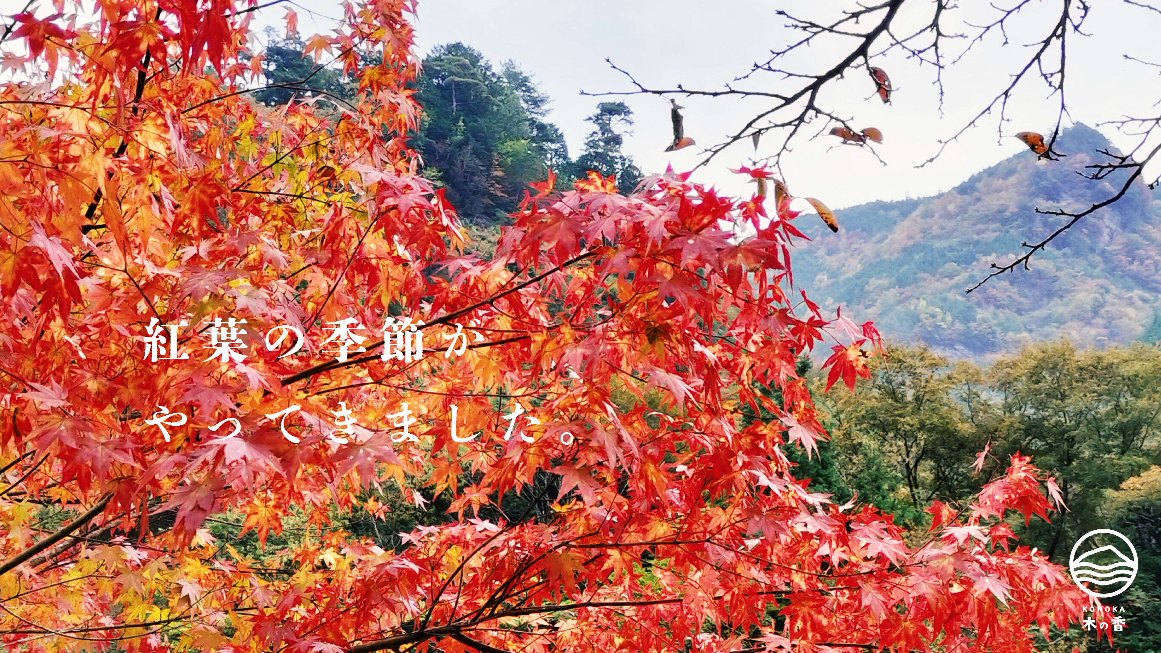 高知県/道の駅木の香温泉からのお知らせ